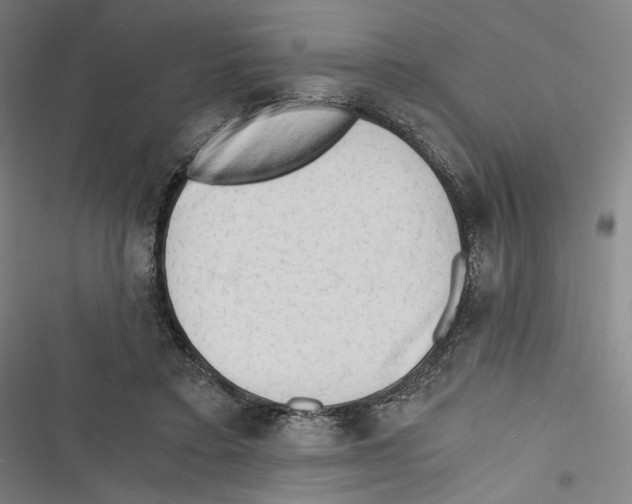 X0000116640403201001111212