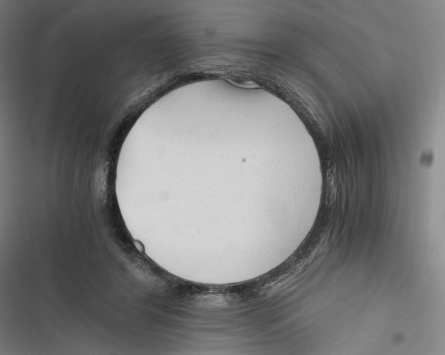 X0000116640404201001111212