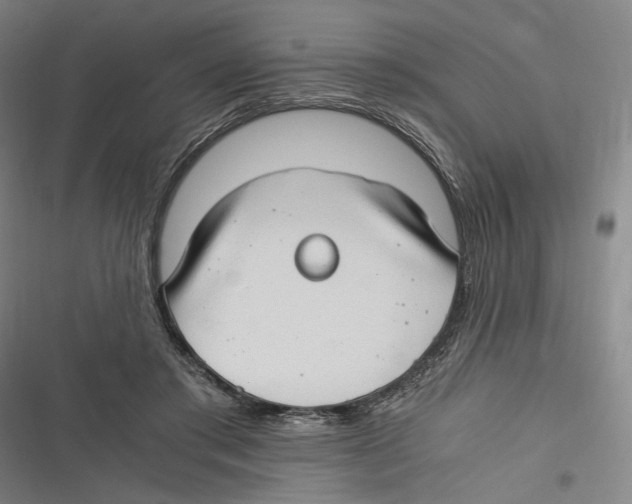 X0000116640405201001111212