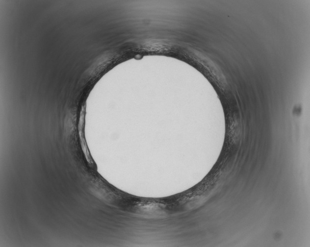 X0000116640407201001111212