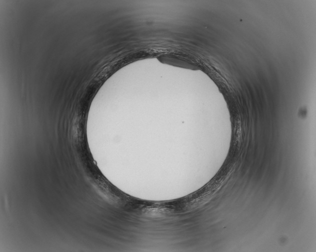 X0000116640408201001111212