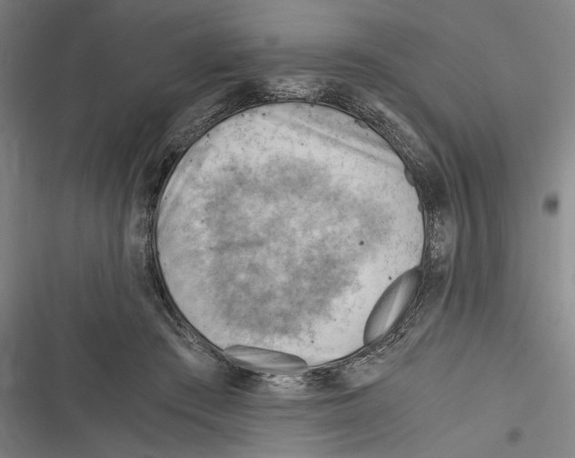 X0000116640409201001111212