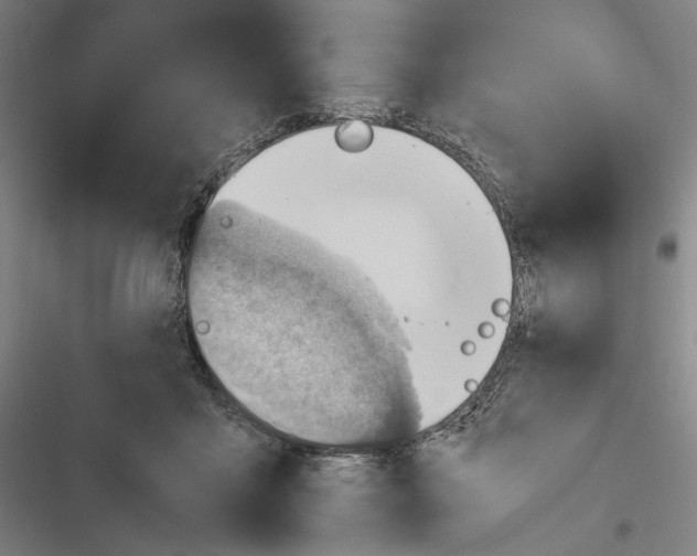 X0000116640411201001111212