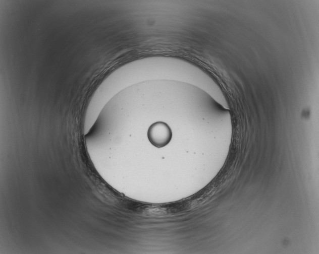 X0000116640413201001111212