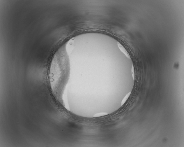 X0000116640415201001111212