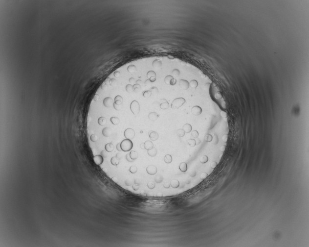 X0000116640418201001111212