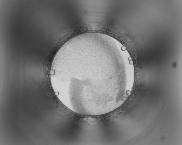 X0000116640419201001111212