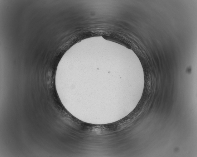 X0000116640420201001111212