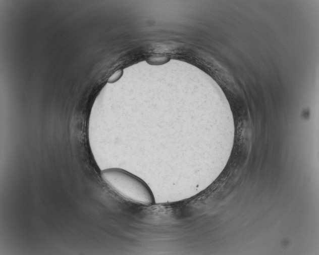 X0000116640421201001111212