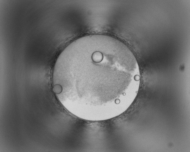 X0000116640423201001111212