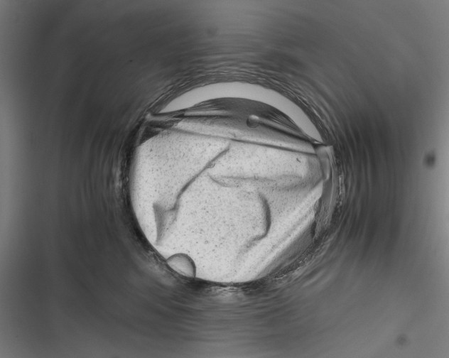 X0000116640424201001111212