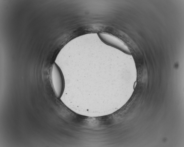 X0000116640425201001111212