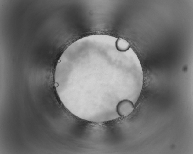 X0000116640427201001111212