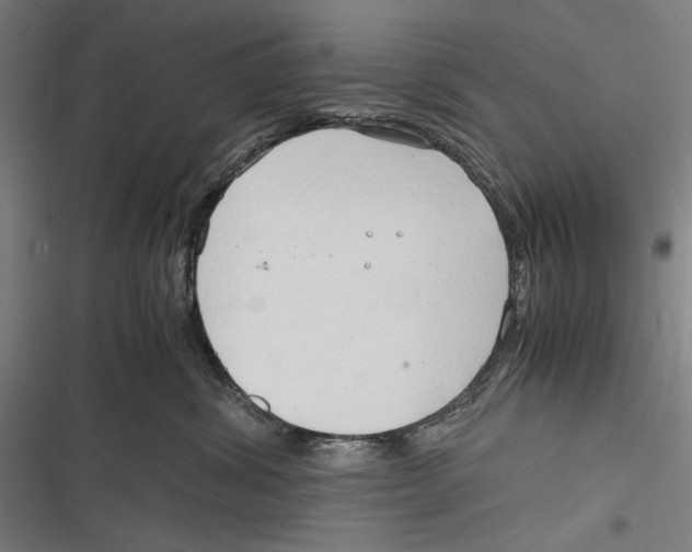 X0000116640428201001111212