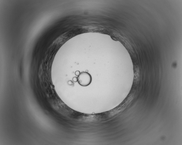 X0000116640430201001111212