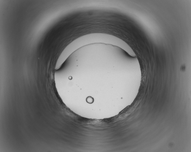 X0000116640431201001111212