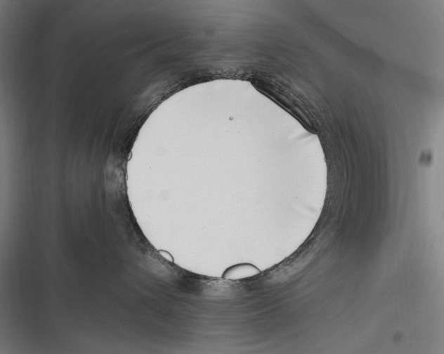 X0000116640432201001111212