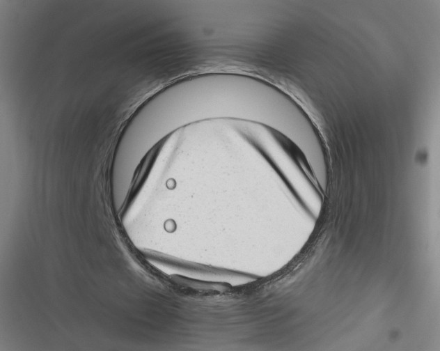 X0000116640433201001111211