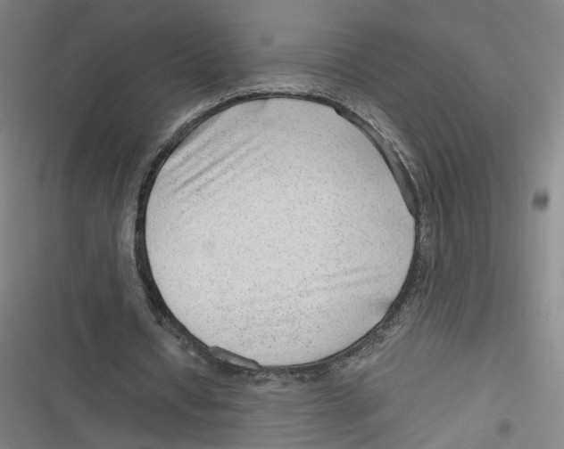 X0000116640434201001111211