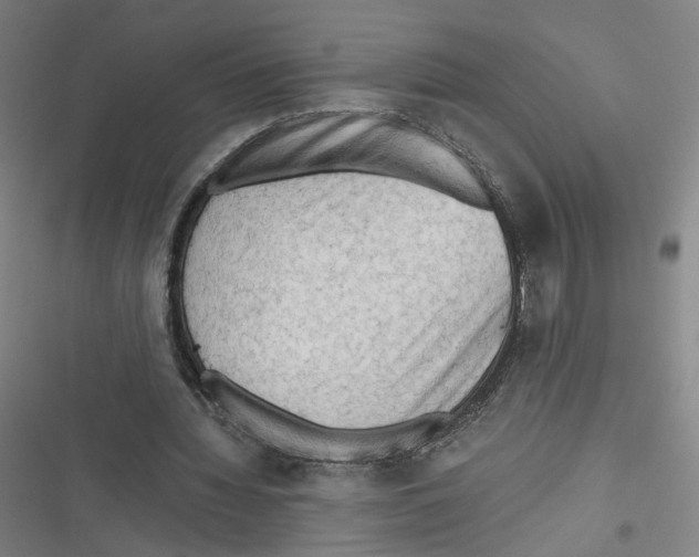 X0000116640436201001111211