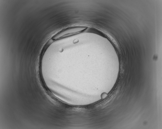 X0000116640437201001111211