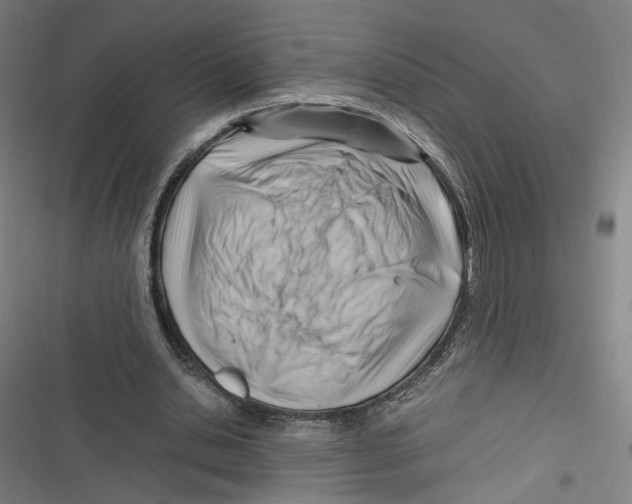 X0000116640438201001111211