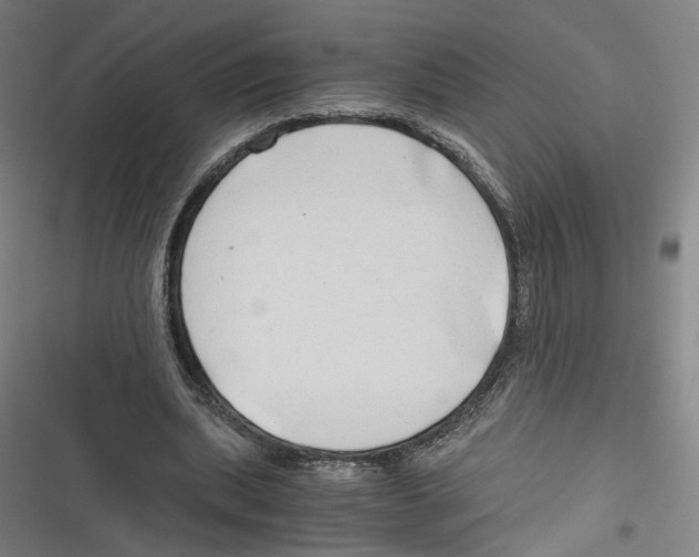 X0000116640439201001111211