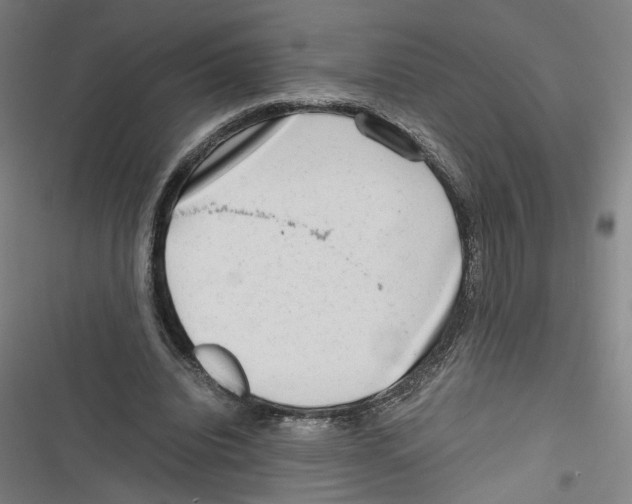 X0000116640440201001111211