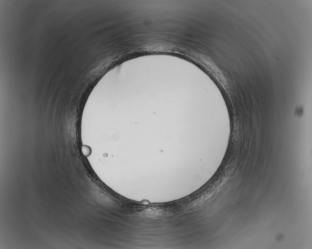 X0000116640441201001111211