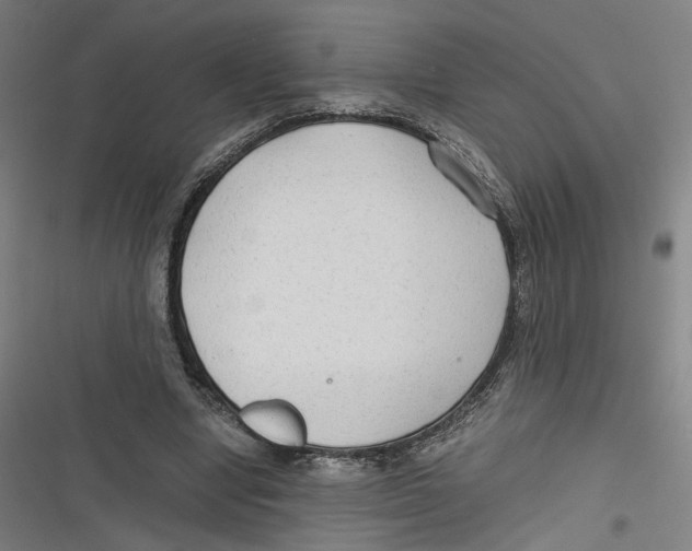 X0000116640442201001111211