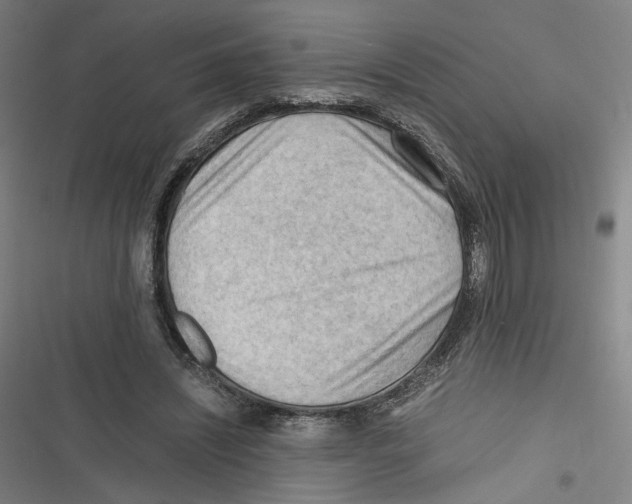 X0000116640444201001111211