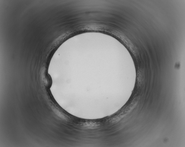 X0000116640445201001111211