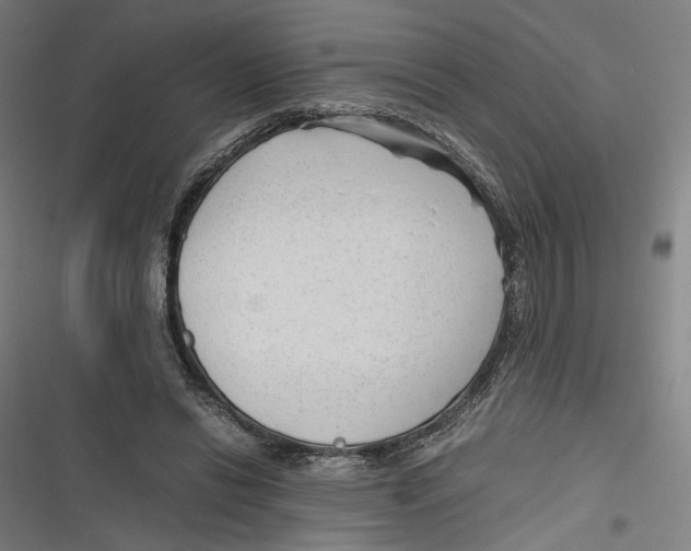 X0000116640446201001111211