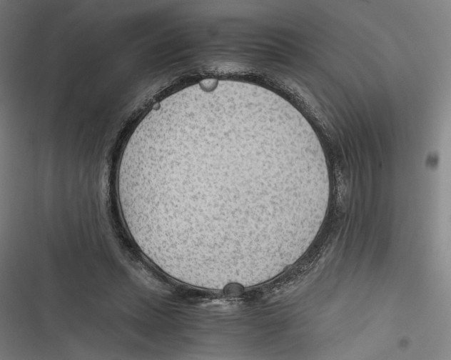 X0000116640447201001111211