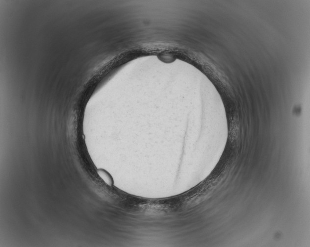 X0000116640448201001111211