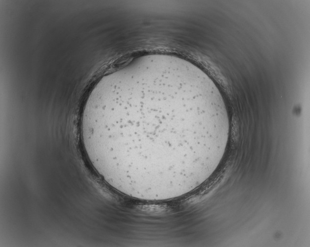 X0000116640449201001111211