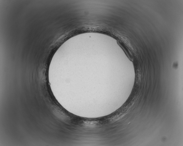 X0000116640450201001111211