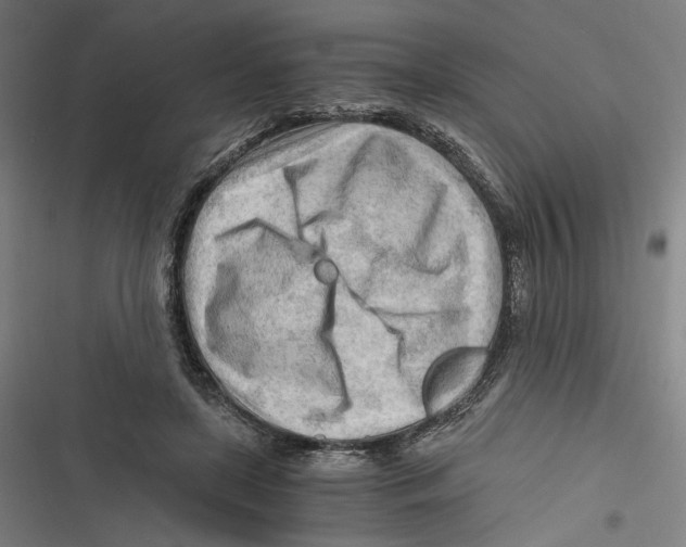 X0000116640451201001111211