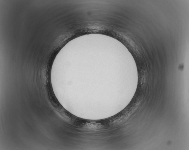 X0000116640455201001111211