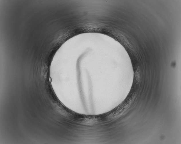 X0000116640458201001111211