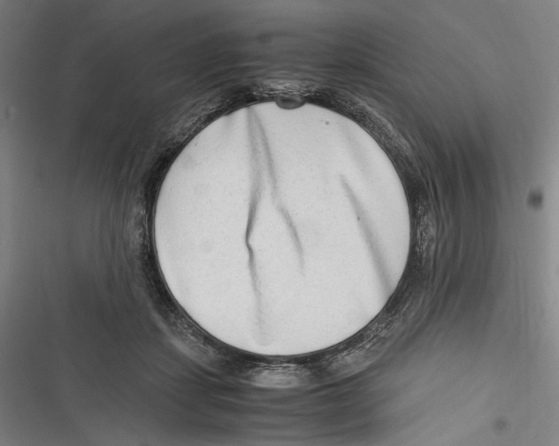 X0000116640459201001111212