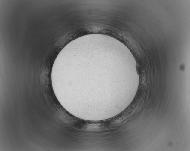 X0000116640461201001111212