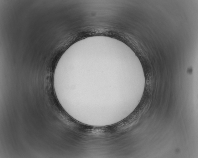 X0000116640462201001111212