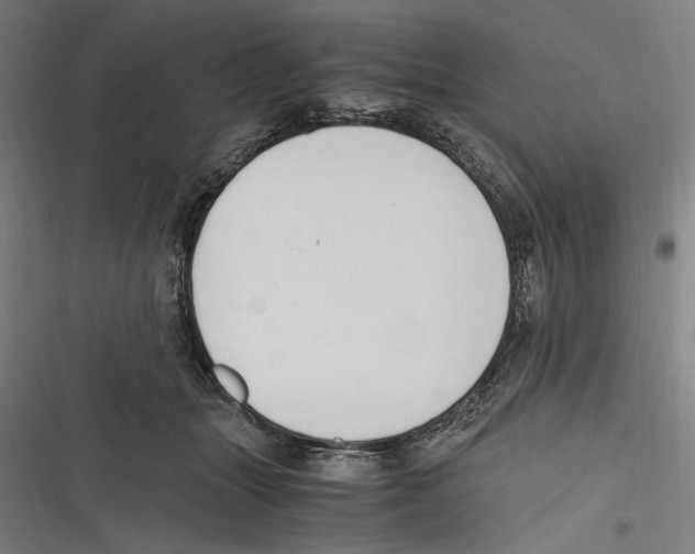 X0000116640463201001111212