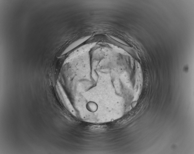 X0000116640465201001111212