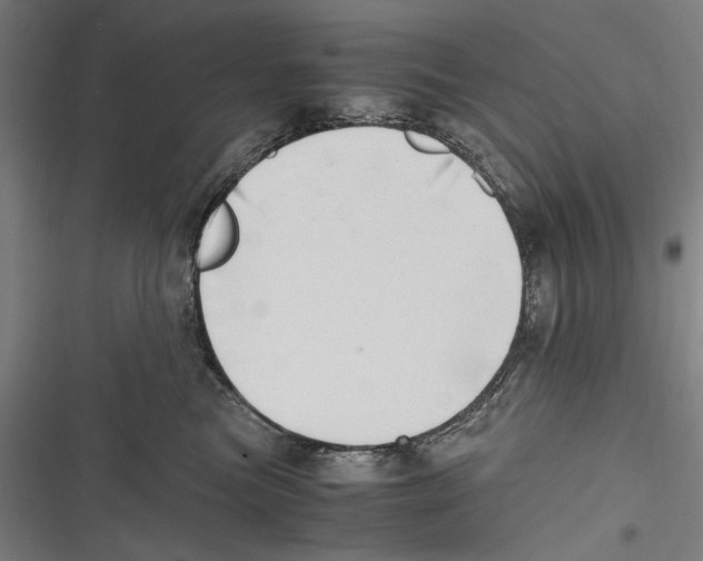 X0000116640473201001111212