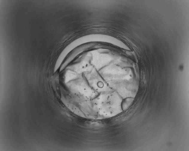 X0000116640475201001111212