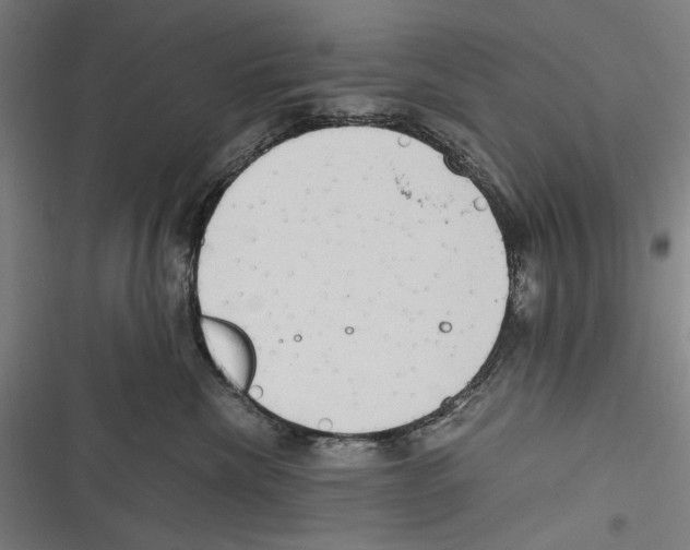 X0000116640476201001111212