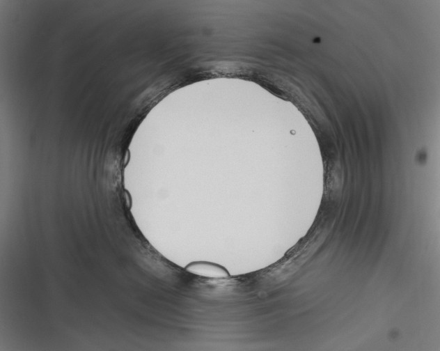 X0000116640478201001111212