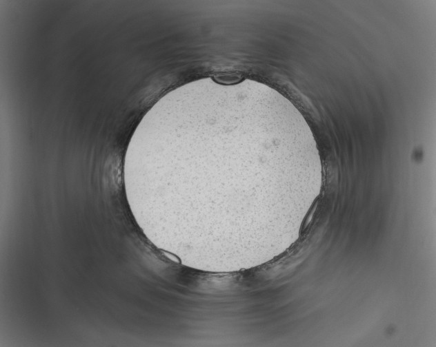 X0000116640479201001111212